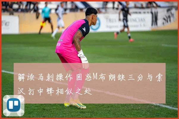 解读马刺操作困惑M布朗缺三分与索汉打中锋相似之处