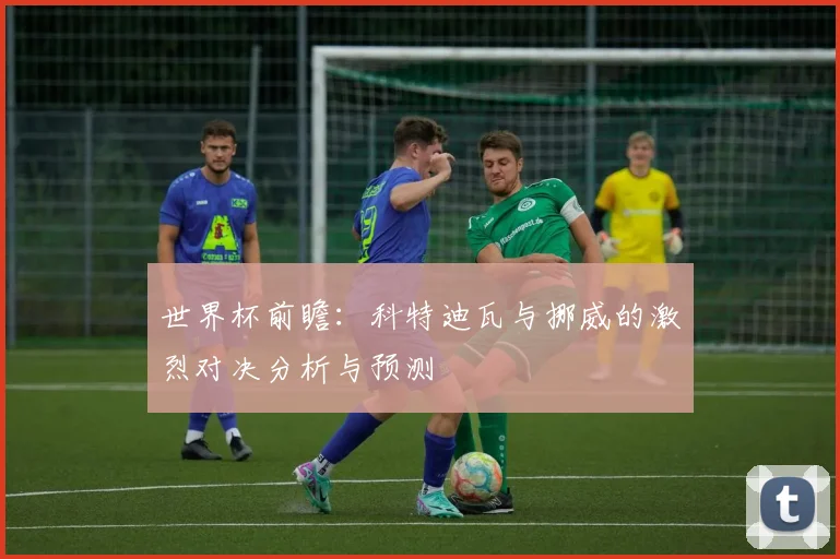 世界杯前瞻：科特迪瓦与挪威的激烈对决分析与预测